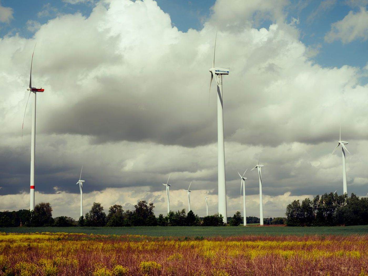 Eurowind Energy România începe construcţia parcurilor eoliene Frumuşiţa, Vector şi Pecineaga Nord-Est